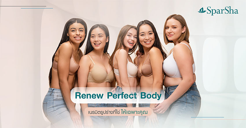 Renew Perfect Body สลายไขมัน ลดสัดส่วน 