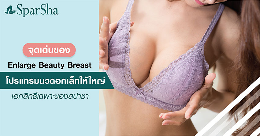 Enlarge Beauty Breast นวดอกเล็กให้ใหญ่ หน้าอกเล็ก