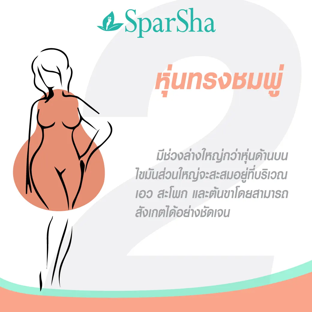 4 หุ่นสวยของสาวๆ ต้องออกกำลังกายท่าไหนเห็นผลที่สุด