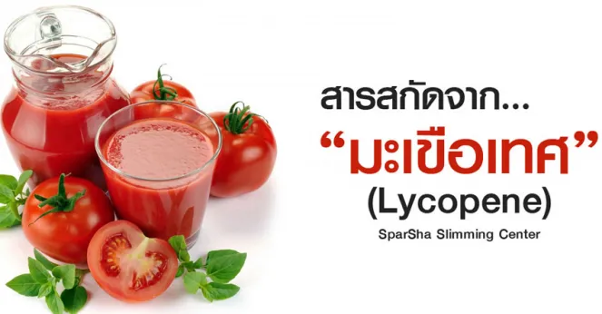 สารสกัดจากมะเขือเทศ (Lycopene)