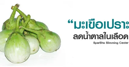 มะเขือเปราะลดน้ำตาลในเลือด
