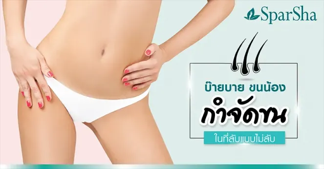 กำจัดขนบราซิลเลี่ยน บ๊ายบายขนน้องกำจัดขนในที่ลับแบบไม่ลับ