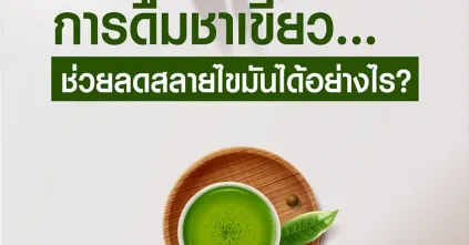 การดื่มชาเขียวช่วยลดสลายไขมันได้อย่างไร