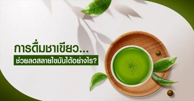 การดื่มชาเขียวช่วยลดสลายไขมันได้อย่างไร