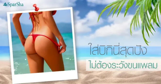 เลเซอร์กำจัดขนบิกินี่ ขนน้องสาวถาวรขนร่องก้นคืออย่างไร